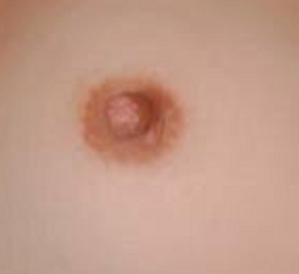 足立友梨の乳首拡大 足立友梨の乳首拡大